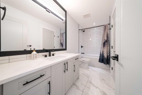 183 Saddlelake Terrace Ne, Calgary, AB - Indoor Photo Showing Bathroom