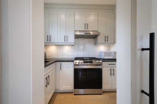 183 Saddlelake Terrace Ne, Calgary, AB - Indoor Photo Showing Kitchen With Upgraded Kitchen