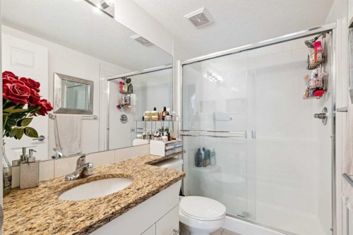 3110-279 Copperpond Common Se, Calgary, AB - Indoor Photo Showing Bathroom