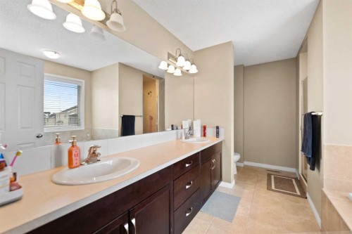 158 Cityscape Gardens Ne, Calgary, AB - Indoor Photo Showing Bathroom