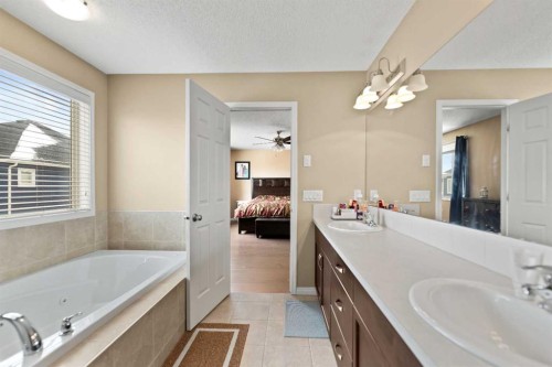 158 Cityscape Gardens Ne, Calgary, AB - Indoor Photo Showing Bathroom