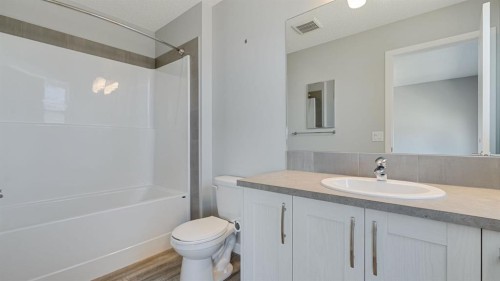 205 Sundown Road, Cochrane, AB - Indoor Photo Showing Bathroom