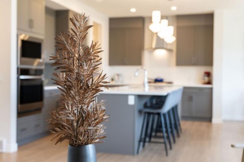 84 Saltsage Heath, Rural Rocky View County, AB 