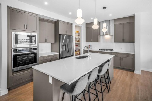 84 Saltsage Heath, Rural Rocky View County, AB 