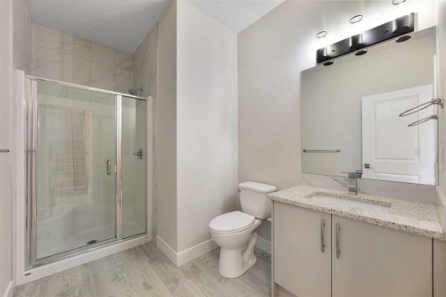 538 Ranch Green, Strathmore, AB - Indoor Photo Showing Bathroom