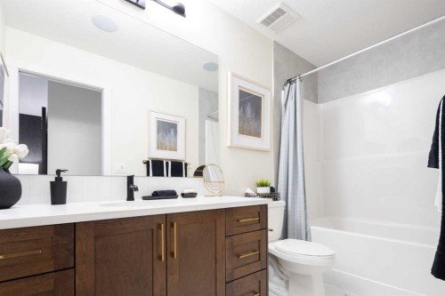 113 Wild Rose Way Se, Calgary, AB - Indoor Photo Showing Bathroom