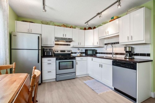 64 Erin Ridge Road Se, Calgary, AB - Indoor Photo Showing Kitchen With Double Sink