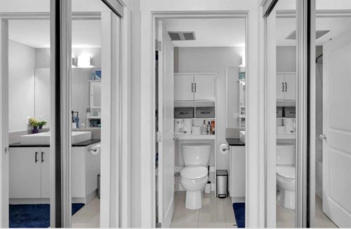 4214-240 Skyview Ranch Road Ne, Calgary, AB - Indoor Photo Showing Bathroom