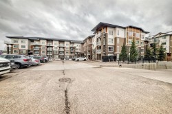 4214-220 Skyview Ranch Road NE Calgary, AB T3N 0P4