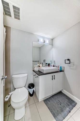 4214-240 Skyview Ranch Road Ne, Calgary, AB - Indoor Photo Showing Bathroom