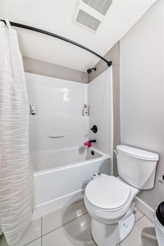 4214-240 Skyview Ranch Road Ne, Calgary, AB - Indoor Photo Showing Bathroom