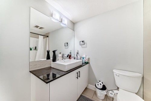 4214-240 Skyview Ranch Road Ne, Calgary, AB - Indoor Photo Showing Bathroom