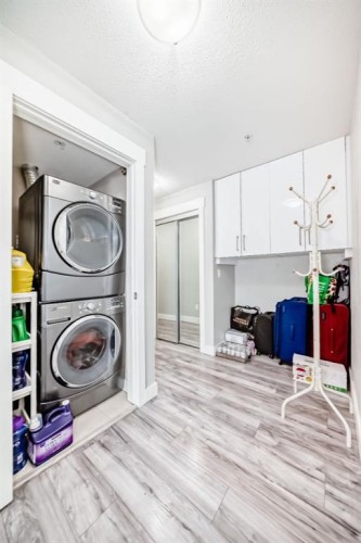4214-240 Skyview Ranch Road Ne, Calgary, AB - Indoor Photo Showing Laundry Room