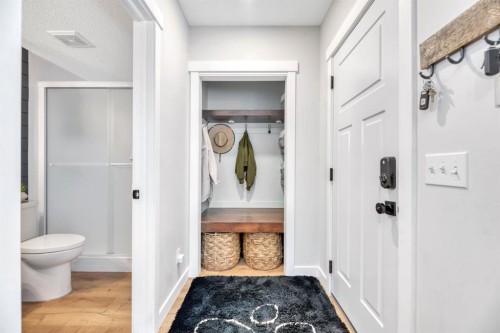 75 Copperfield Rise Se, Calgary, AB - Indoor Photo Showing Bathroom
