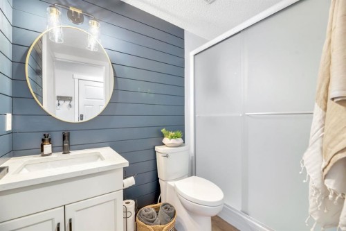 75 Copperfield Rise Se, Calgary, AB - Indoor Photo Showing Bathroom