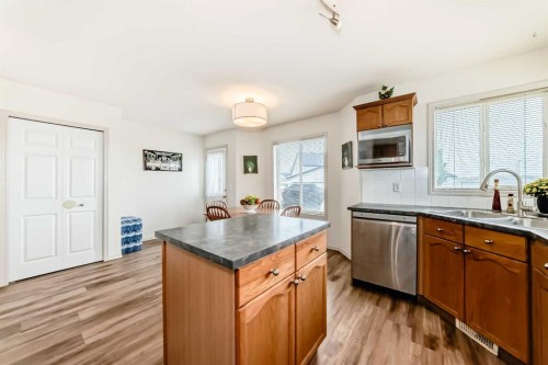 198 Copperfield Gardens Se, Calgary, AB - Indoor Photo Showing Kitchen With Double Sink