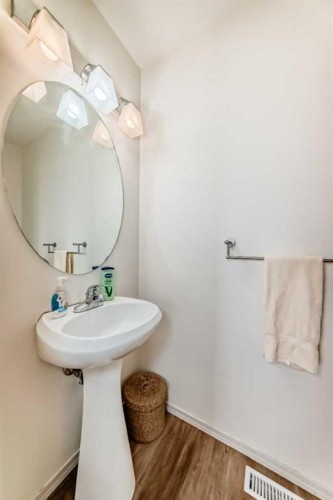 198 Copperfield Gardens Se, Calgary, AB - Indoor Photo Showing Bathroom