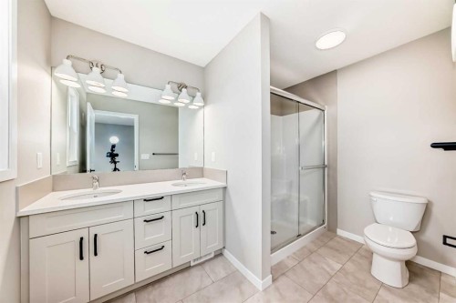 1098 Sawgrass Link Nw, Airdrie, AB - Indoor Photo Showing Bathroom