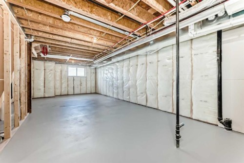 1098 Sawgrass Link Nw, Airdrie, AB - Indoor Photo Showing Basement