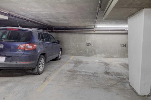 101-6800 Hunterview Drive Nw, Calgary, AB - Indoor Photo Showing Garage