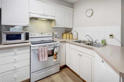 101-6800 Hunterview Drive Nw, Calgary, AB - Indoor Photo Showing Kitchen With Double Sink
