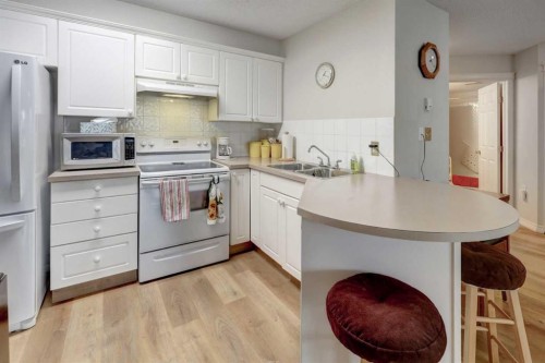 101-6800 Hunterview Drive Nw, Calgary, AB - Indoor Photo Showing Kitchen With Double Sink