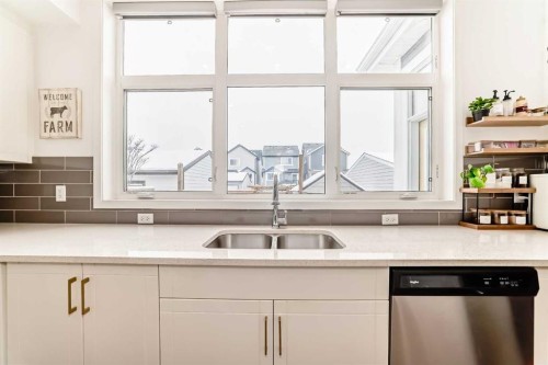 355 Masters Row Se, Calgary, AB - Indoor Photo Showing Kitchen With Double Sink