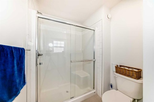 355 Masters Row Se, Calgary, AB - Indoor Photo Showing Bathroom