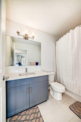 355 Masters Row Se, Calgary, AB - Indoor Photo Showing Bathroom