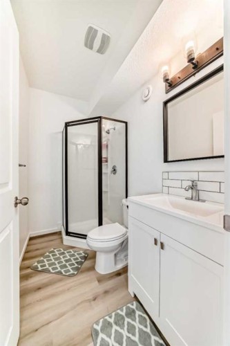 355 Masters Row Se, Calgary, AB - Indoor Photo Showing Bathroom