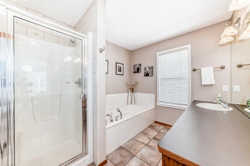 112 West Creek Glen, Chestermere, AB - Indoor Photo Showing Bathroom
