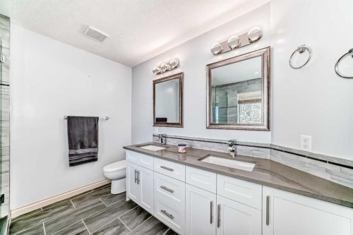 291 East Chestermere Drive, Chestermere, AB - Indoor Photo Showing Bathroom