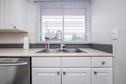 6036 4 Street Ne, Calgary, AB - Indoor Photo Showing Kitchen With Double Sink
