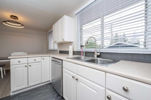 6036 4 Street Ne, Calgary, AB - Indoor Photo Showing Kitchen With Double Sink