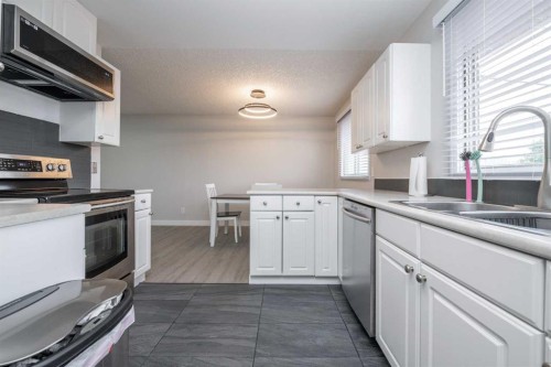 6036 4 Street Ne, Calgary, AB - Indoor Photo Showing Kitchen With Double Sink