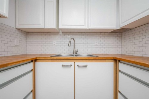 6036 4 Street Ne, Calgary, AB - Indoor Photo Showing Kitchen With Double Sink
