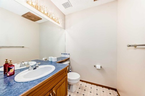 164 Cove Road, Chestermere, AB - Indoor Photo Showing Bathroom