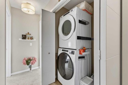 203-445 Redstone Ne, Calgary, AB - Indoor Photo Showing Laundry Room