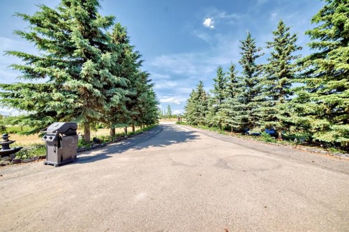 240076 Paradise Meadow Drive, Chestermere, AB - Outdoor