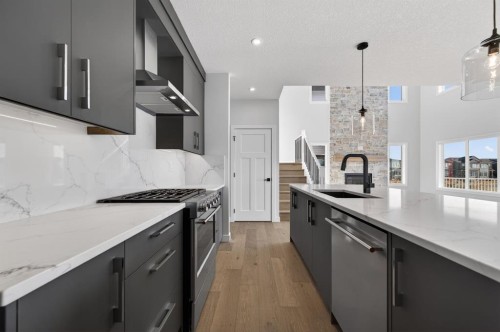 709 Dawson Common, Chestermere, AB - Indoor Photo Showing Kitchen With Upgraded Kitchen