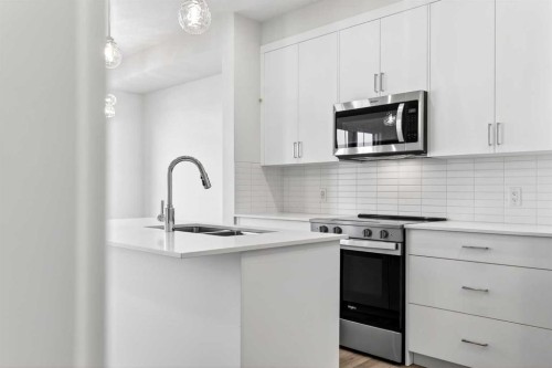 50 Creekside Way Sw, Calgary, AB - Indoor Photo Showing Kitchen With Double Sink With Upgraded Kitchen