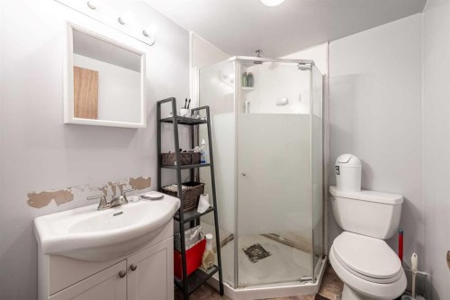 116 Dovercrest Way Se, Calgary, AB - Indoor Photo Showing Bathroom