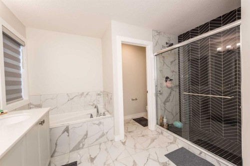 137 Edith Villas Nw, Calgary, AB - Indoor Photo Showing Bathroom