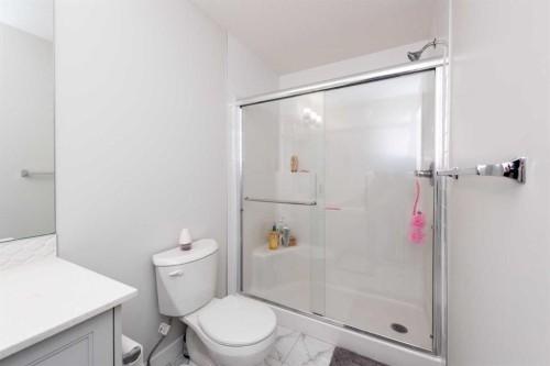137 Edith Villas Nw, Calgary, AB - Indoor Photo Showing Bathroom