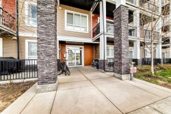 311-40 Walgrove Walk SECalgary, AB T2X 5A2