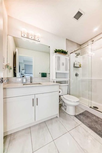 311-40 Walgrove Walk Se, Calgary, AB - Indoor Photo Showing Bathroom