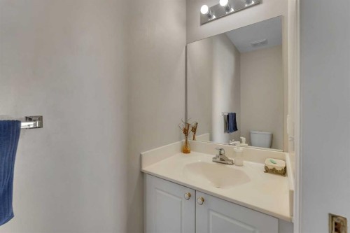 92 Taradale Drive Ne, Calgary, AB - Indoor Photo Showing Bathroom