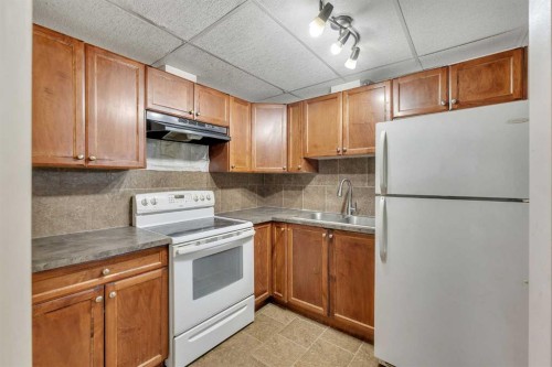 92 Taradale Drive Ne, Calgary, AB - Indoor Photo Showing Kitchen With Double Sink