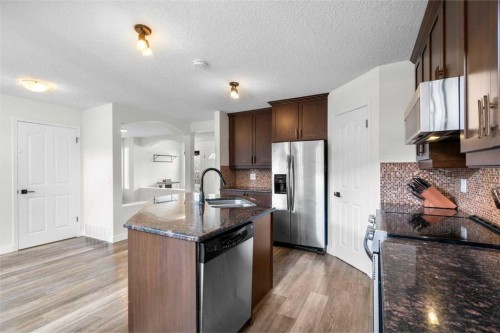176 Douglas Ridge Green Se, Calgary, AB - Indoor Photo Showing Kitchen With Stainless Steel Kitchen With Upgraded Kitchen