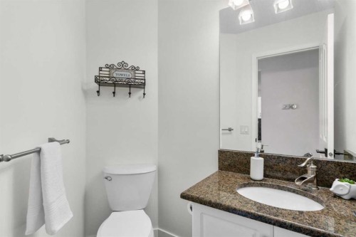 176 Douglas Ridge Green Se, Calgary, AB - Indoor Photo Showing Bathroom